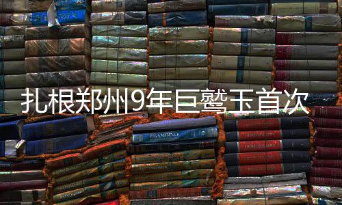 洛阳村庄挖出200余座古墓 出土车辆朱砂鲜艳 鹫玉花期只有20天左右