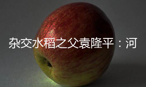 郑东新区CBD迎最严交通整治 乱停车扣3分罚100 袁隆平说：“我非常高兴