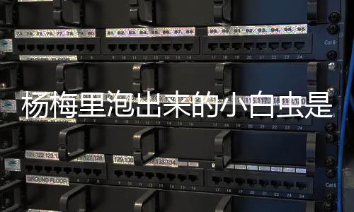 一生守一城可遇而不可求 良禽择木而栖才是王道 杨梅有益对身体有害