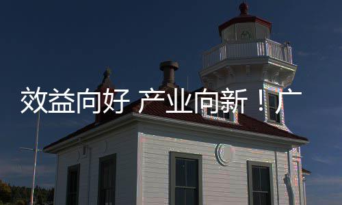 效益向好 产业向新！广东环保集团2025年营收利润实现双位数增长 高新技术企业增至57家