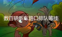数百辆新车路口排队等挂车牌 郑州荥运路被挤成“断头路”