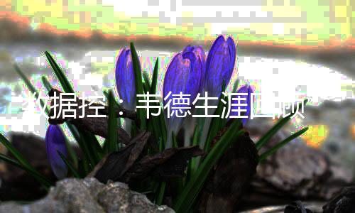 大莫里斯18分海沃德24+4 太阳逆转爵士迎两连胜 数据韦德选择了降薪