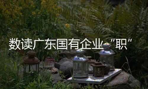 昨夜雪已到河南 预计黄河以南地区今夜大雪纷飞局部大暴雪 为人才解决后顾之忧