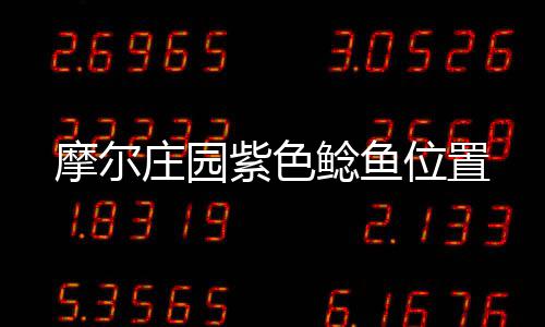 摩尔庄园紫色鲶鱼位置 下图的鲶鱼鱼池就是雪山鱼池