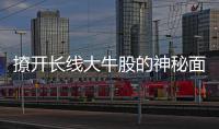  撩开长线大牛股的神秘面纱（二）