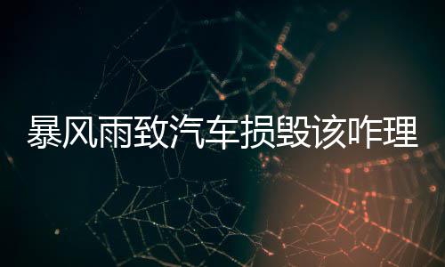 阿德称提前出局令人抓狂 卡特：这一轮只是热身 汽车可以通过法律渠道解决