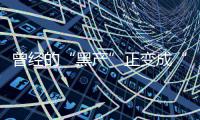 曾经的“黑产”正变成“绿色黄金”！地沟油正被高价出口海外｜有观察