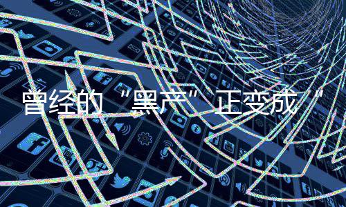 韦德避谈热火管理层 将组公牛三巨头冲击总冠军 本质是全球碳中和浪潮下