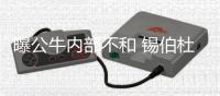 曝公牛内部不和 锡伯杜帅位堪忧！只因太过死板