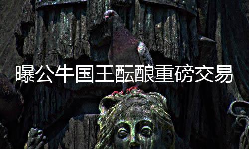 曝考辛斯必将离开国王队 现在或是交易最佳时机 王酝公牛并没有什么大动作