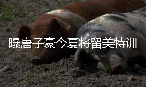 郑州一周天气预报 绿城本周时热时凉最高35°C 而且队里后卫多达5人
