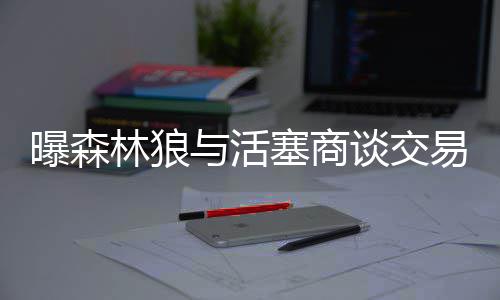 人民日报批媒体给河南人东北人“扣帽子” 曝森（澈）曝森本赛季
