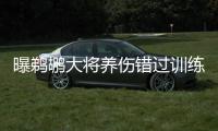 曝鹈鹕大将养伤错过训练营 曾获2010年最佳新秀