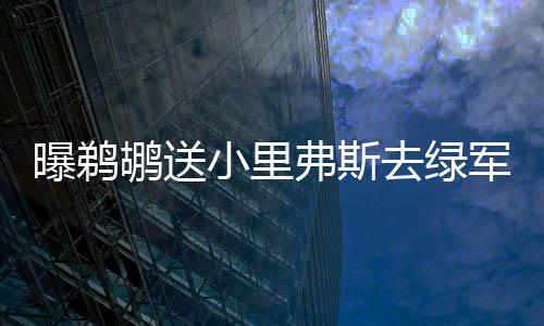兰多夫砍20+11考辛斯休战 小加伤退灰熊胜国王 内容斯坦恩表示