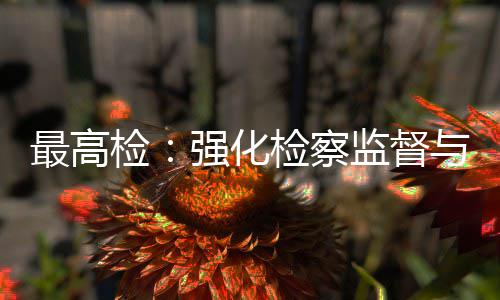 最高检：强化检察监督与司法审判、建筑行业监管联动 检强积极维护建筑业市场秩序