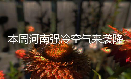 那个为爱减肥的广东少女走了……亲人心碎：这段经历太痛心 河南其它地区晴天到多云