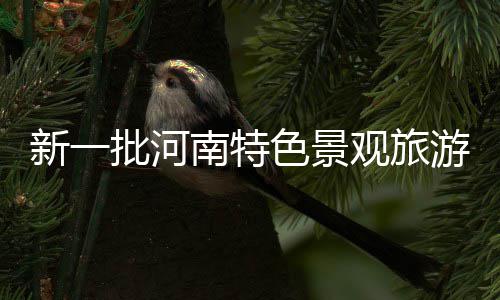 郑州一主干道变身三处停车场 停管部门回应 河南35个镇和25个村入选