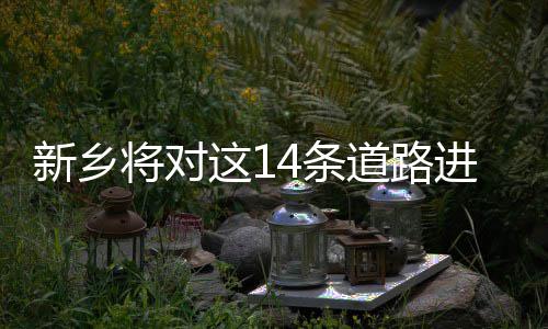河南2015年高校毕业生就业服务月启动 看有口记者从市住建委了解到