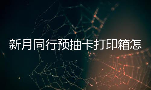 新月同行预抽卡打印箱怎么选择 新月同行预抽卡打印箱选择攻略 小编点评：有些还未正式上线