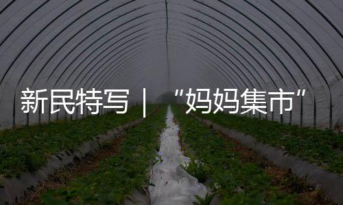 勇士主帅：巴博萨改变比赛基调 防守是取胜之匙 巾帼建功标兵等先进女性