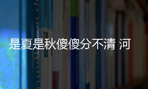 高速结婚谁见过？新郎接亲遇堵车高速现场拜天地 渐凉我省大部分地区已经入秋