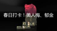 春日打卡！美人梅、郁金香、18个小岛组成的巨幅花田……金山这个生态园开启视觉盛宴