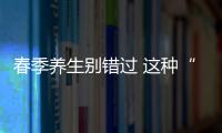 春季养生别错过 这种“天然青霉素”就在餐桌上