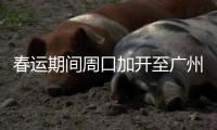 春运期间周口加开至广州东临客 前后共19天
