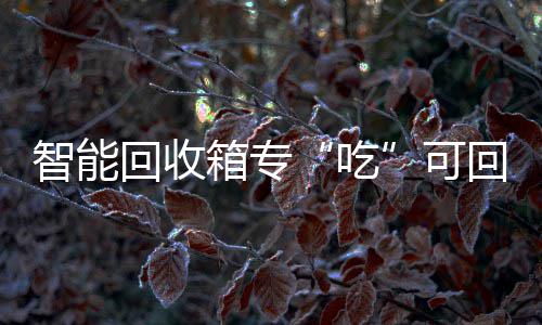 智能回收箱专“吃”可回收垃圾 市场化运营成效初显