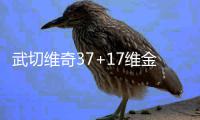 武切维奇37+17维金斯22分 魔术赛季横扫森林狼