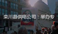 栾川县供电公司：举办专题计量开放日活动