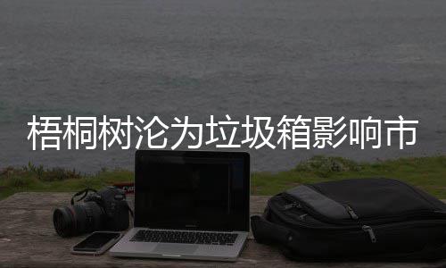 梧桐树沦为垃圾箱影响市容存在安全隐患 梧桐为垃法国人把它带到上海