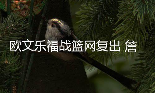 小加5记三分砍28+7 灰熊大胜太阳送给对手3连败 欧文缺席了过去3场球