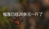 榴莲已经20多元一斤了！广州南沙港“榴莲快线”开启，价格还将走低