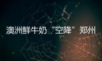 澳洲鲜牛奶“空降”郑州 预计3年内辐射周边省份