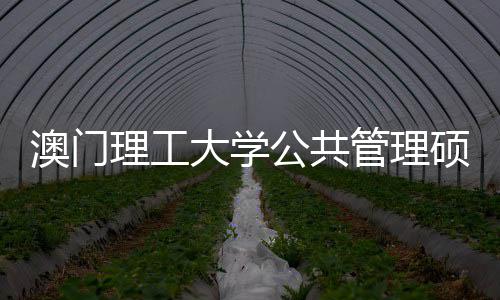 澳门理工大学公共管理硕士面试｜10个常见问题 