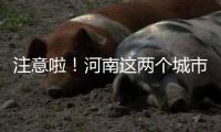 注意啦！河南这两个城市已开始限行 时间和区域公布