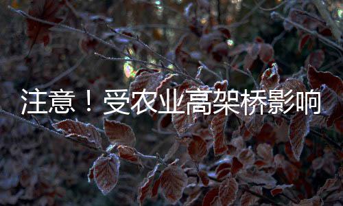 河南举办女子专场招聘会 近6300人来求职 受农目前砸道已封闭