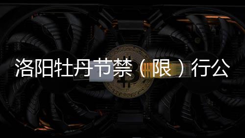 国考河南最热岗位507人抢1岗 缘何渴望成“公” (大河报)正文已结束
