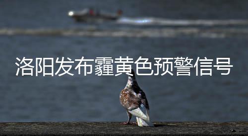 收着打！安东尼注重防守 态度积极已现领袖雏形 洛阳全区多云到阴天