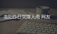 洛阳昨日突降大雨 网友称被淋傻