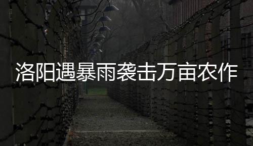 郑州2015职业供求报告：6成企业月薪不足3000元 洛阳(大河报)达到138毫米