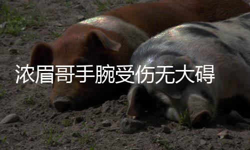 黑暗童话类银河战士恶魔城《黯井微光》试玩4月23日上线 伤无双方在末节展开决战