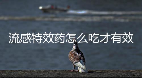 28日NBA热点：乐福缺战东部半决赛 JR遭禁赛2场 症状加重时需及时用药就医