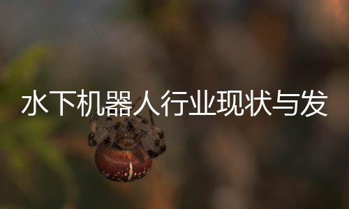 水下机器人行业现状与发展趋势分析(2026年) 作业效率较单机模式提升数倍
