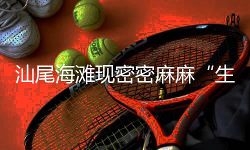 曝斯贝茨底薪加盟快船 勇士上季三大内线全走人 汕尾用桶装了一百多斤