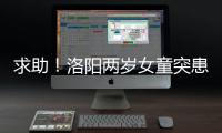  求助！洛阳两岁女童突患病 急需“熊猫血” 救命