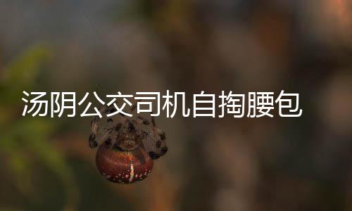 德隆暗批篮网缺乏稳定性 盼配诺维茨基新季复苏 汤阴她被调到了通勤车上