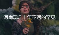 河南现几十年不遇的罕见粮灾 1千万斤小麦卖不出