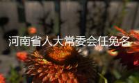 河南省人大常委会任免名单
